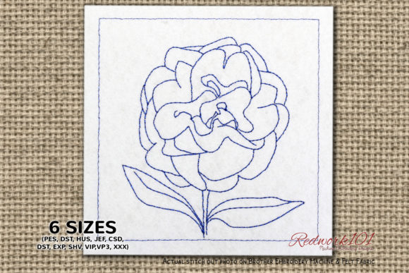 Reviewing Close Up of Rose Blossom Flower Redwork